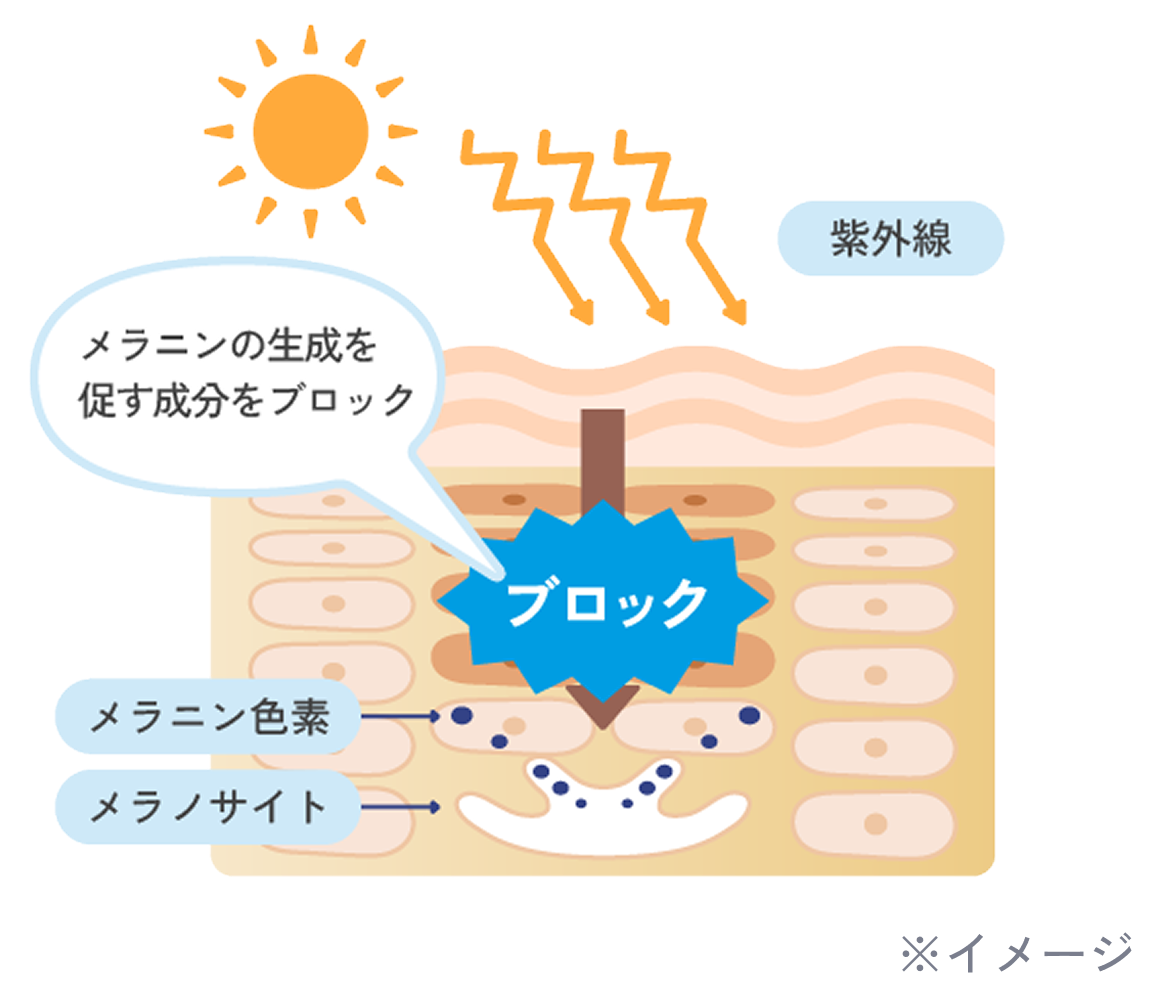ちふれ美白 TAシリーズ×向井康二キャンペーン｜CHIFURE