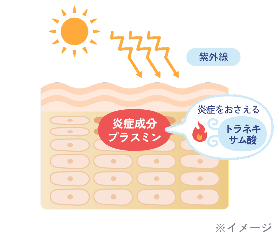 ちふれ美白 TAシリーズ×向井康二キャンペーン｜CHIFURE