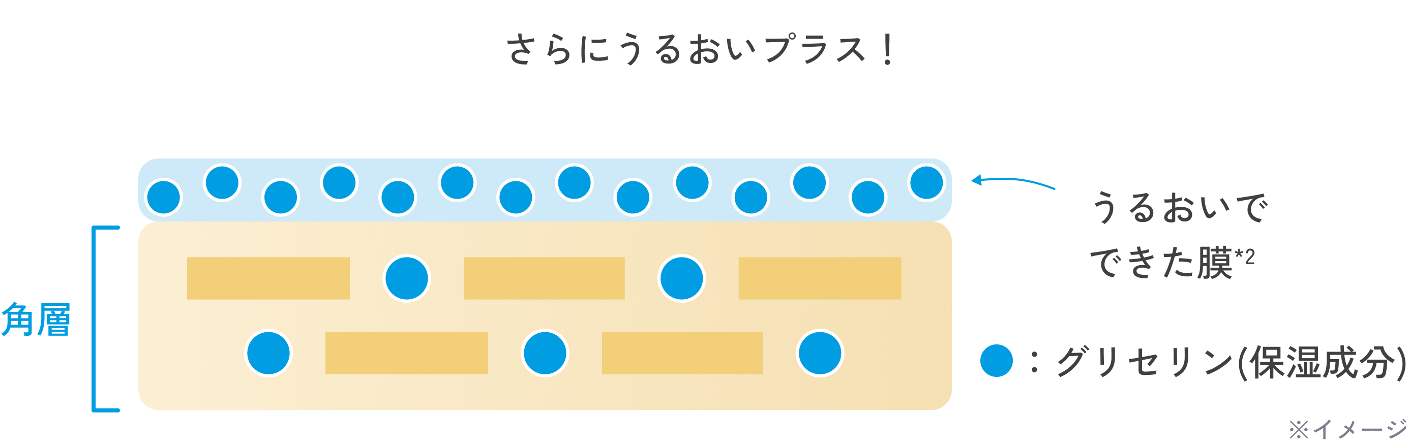 ちふれ美白 TAシリーズ×向井康二キャンペーン｜CHIFURE
